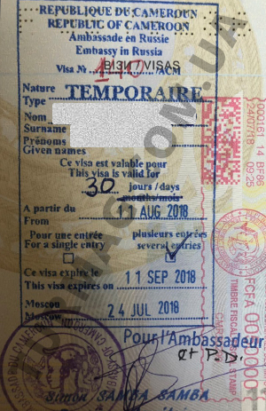 Виза в Камерун. Получение и оформление камерунской визы.