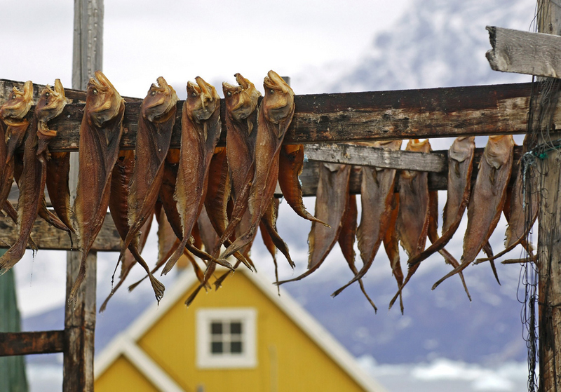 Национальная кухня Гренландии